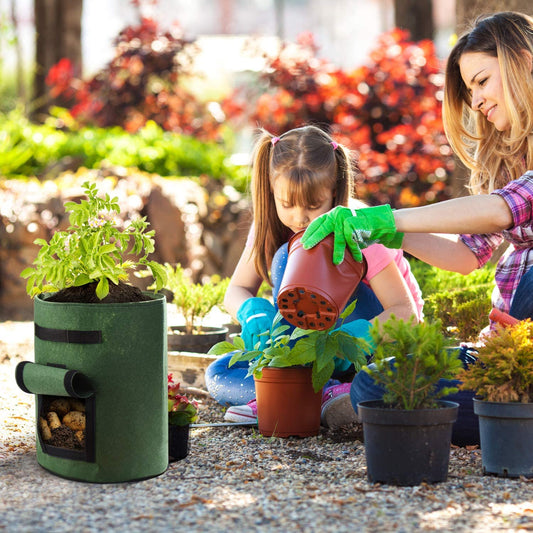 Planting vegetables in growth bags, three questions that many farmers are worried about, will be answered after reading.